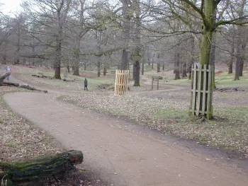 Part of the wonderful yellow gravel path