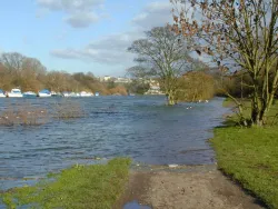 The Thames in flood