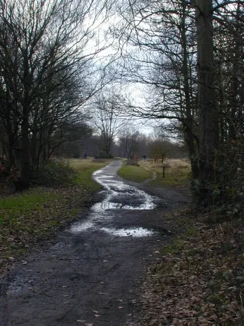 Wimbledon common, heading south