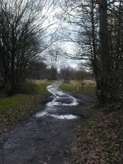 Wimbledon common